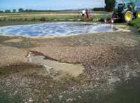 Regular Pond Stirring.