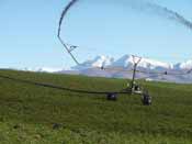 Our travelling pond irrigator in action.