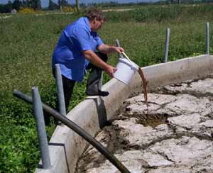 effluent pond crust